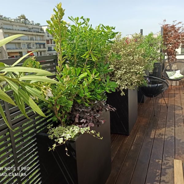 balcon aménagé et végétalisé à Paris
